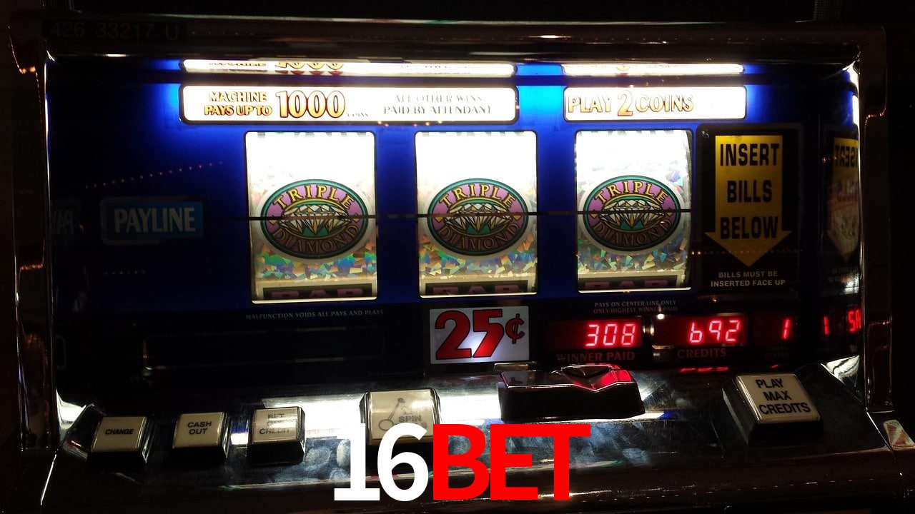Sports Statistics 16bet